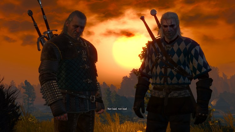 witcher3 2015-05-22 20-53-27-30