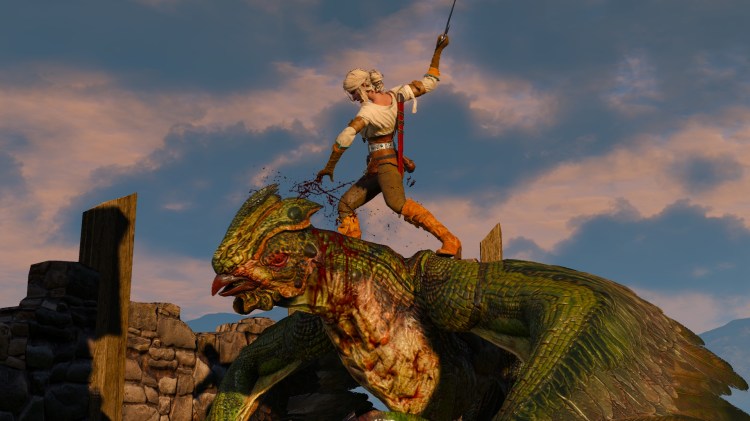 witcher3 2015-05-27 20-54-42-61