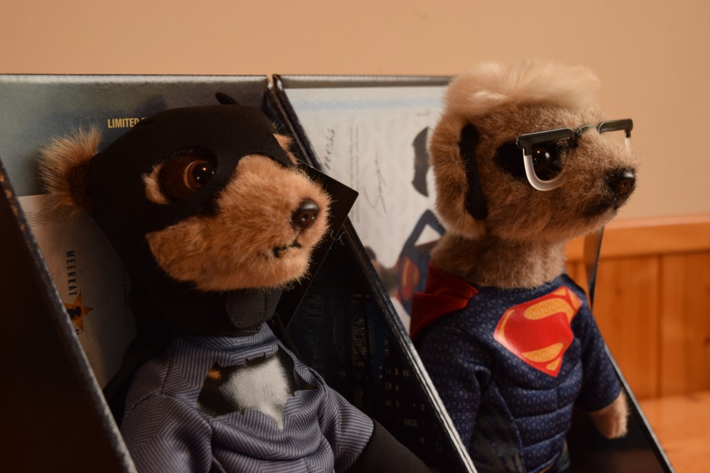 Behold These Meerkats!