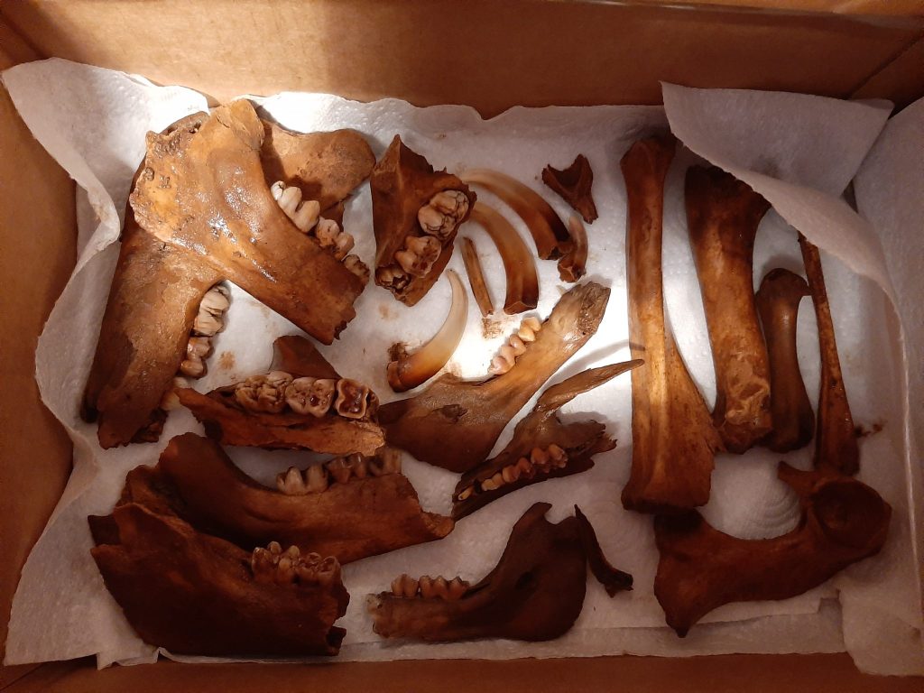 Weekend Whammy: GeForce Now Troubles, Bones &&nbsp;Books